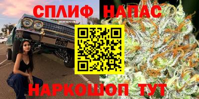 дурь Нягань