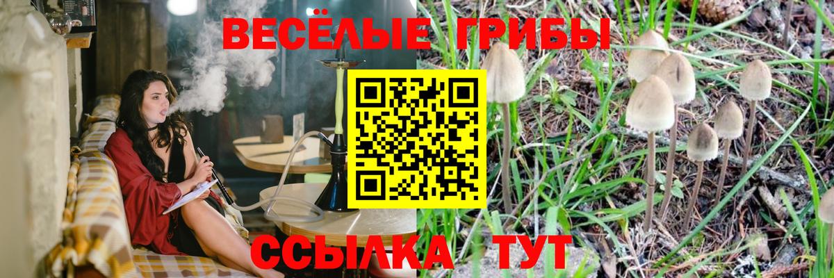 Галлюциногенные грибы прущие грибы  Вход с VPN  Галлюциногенные грибы GOLDEN TEACHER  как найти закладки  Ревда 