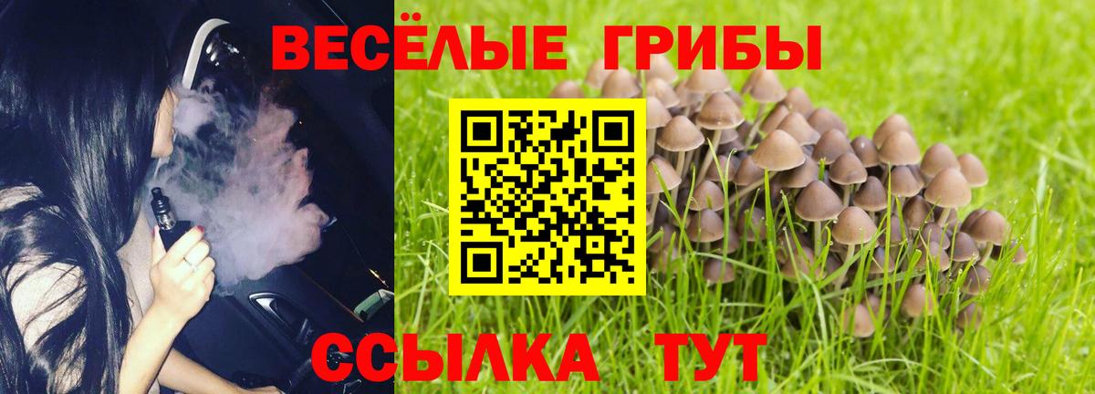 Псилоцибиновые грибы мухоморы Ревда